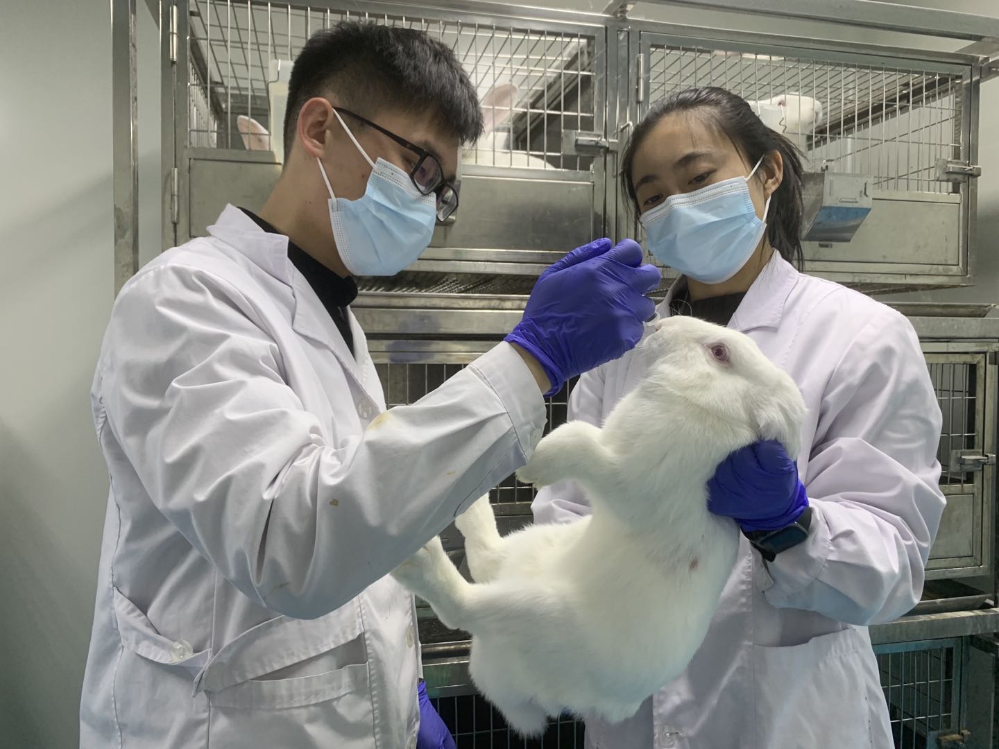 腾博会诚信为本,专业服务!生物