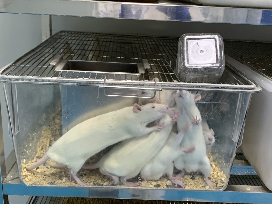 腾博会诚信为本,专业服务!生物